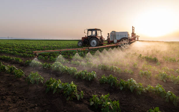 Pest Prevention Services in Goodview, MN