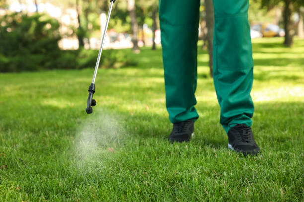 Best Pest Removal Services  in Goodview, MN