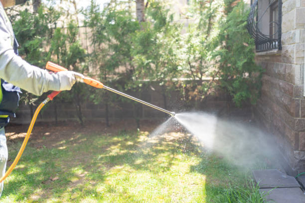 Professional Pest Control in Goodview, MN