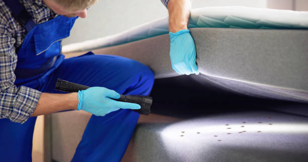 Best Local Pest Control Services  in Goodview, MN