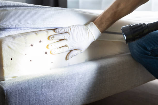 Best Bed Bug Extermination  in Goodview, MN