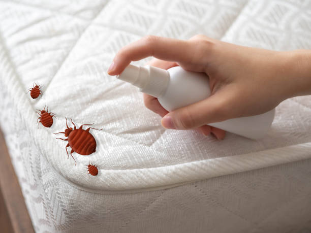 Best Pest Prevention Services  in Goodview, MN