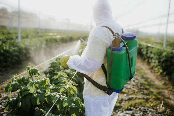Best Exterminator Services  in Goodview, MN